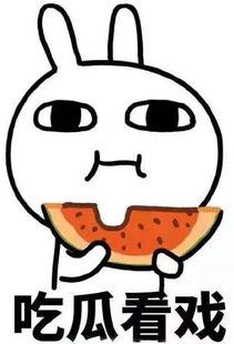 吃瓜新闻是新闻吗,揭秘网络时代的“瓜田”现象