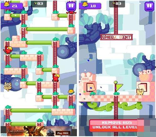 娱乐吃瓜酱游戏小猫,游戏小猫的趣味冒险之旅