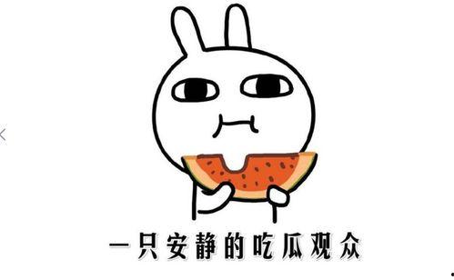 在线吃瓜是什么意思,揭秘“在线吃瓜”现象背后的文化内涵